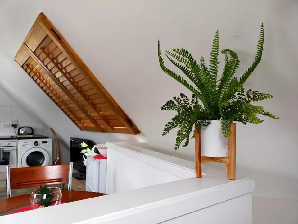 Apartmán Studio On Golders - Two Minutes To The Lake And Quick Drive To Town! Taupo Exteriér fotografie
